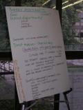 biology poster 6