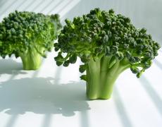Brocolli