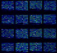 DNA microchip