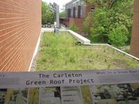 Carleton Green Roof