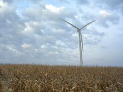 Carleton Wind Turbine