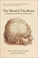 Neuroplasticity book