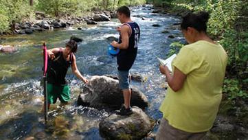 students collect water quality data