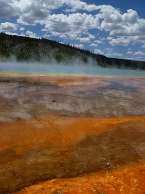 Grand Prismatic Spring Yellowstone