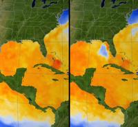 Sea Surface Temperature - Effects of Hurricane Dennis 2005
