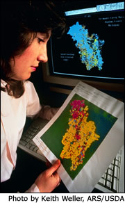 Teacher examining data image
