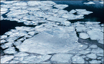 Sea Ice