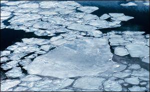 Sea Ice
