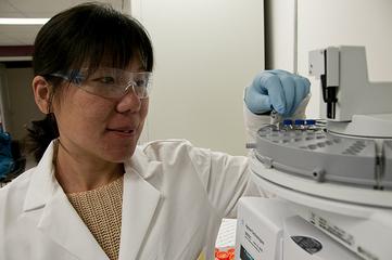 Toxicology Research at FDA 