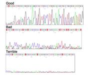 Chromatogram samples
