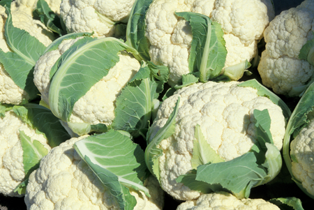 Photopage cauliflower image