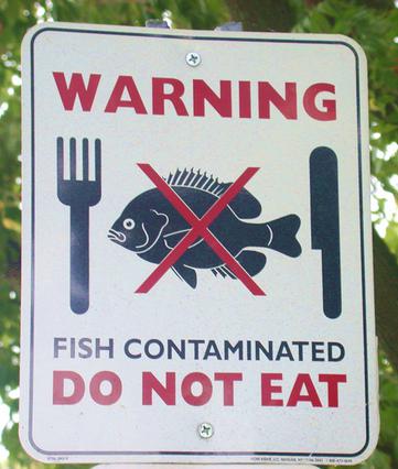 Warning: Do Not Eat