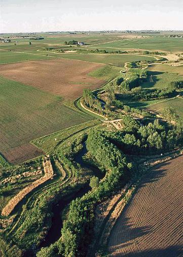Rewarding Eco-Friendly Farmers Can Help Combat Climate Change