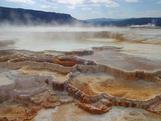 Mammoth Hot Springs,  YNP