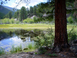 A complex landscape a lake in a valley in the Rockies