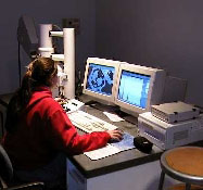 SEM student from Bowdoin provided by R Beane