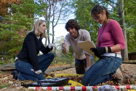Undergraduate Research in Organic Garden