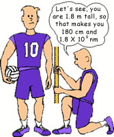 volleyball player measuring