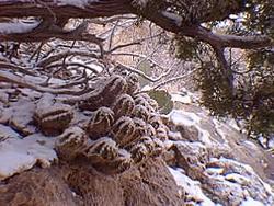 Picture from the Guadalupe Mountains taken during UWSP Field Trip