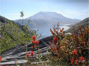Rainier and St Helens image 2