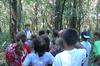 Class in the Woods