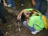 Student Measures a Tree