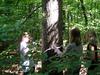 Students Measure a Tree