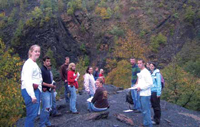 Field Cognition and Behavior