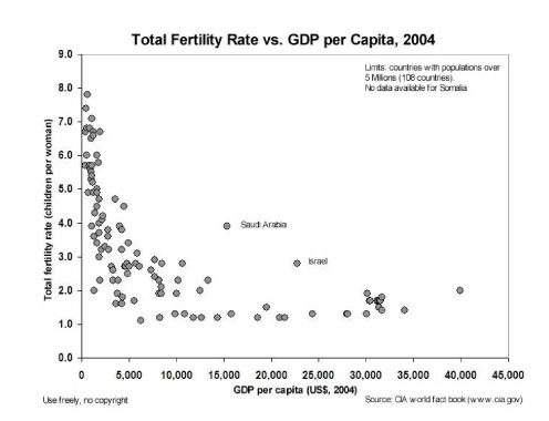 Fertility Rates w/ GDP per capita (Medium Size)