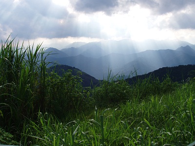 Brazil Mountain Photo