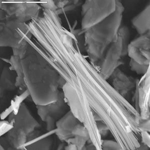 SEM image of tremolite asbestos