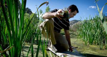 Algae prospecting NREL
