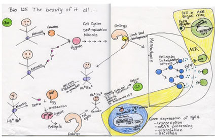 Concept map