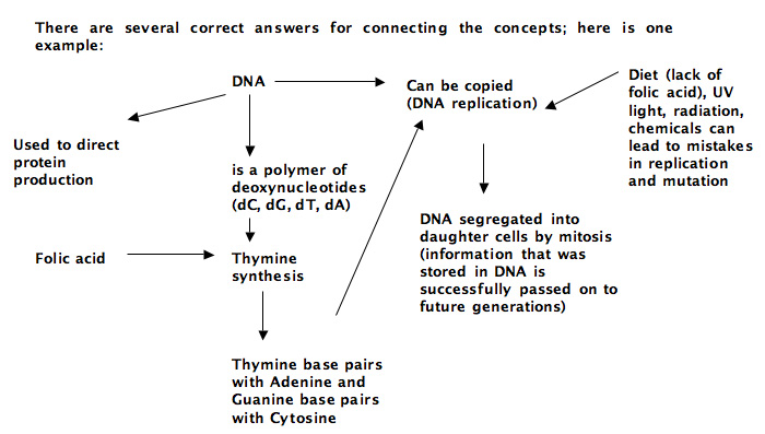 concept map key