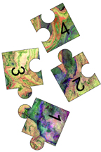 jigsaw puzzle pieces 3