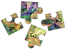 jigsaw puzzle pieces 5