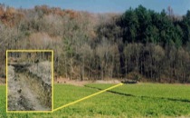 Bristol, VT Alluvial Fan