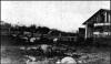Photo of piggery near the Aberjona River