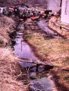 Trial-era photo of barrels near an Aberjona tributary