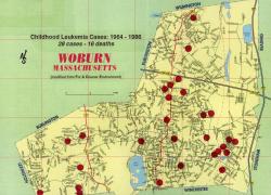 FACE map of childhood leukemia cases in Woburn 