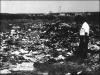 The old Woburn dump